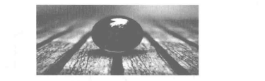 利達(dá)信：光電信息顯示技術(shù)的發(fā)展趨勢(shì)及在安防中的運(yùn)用